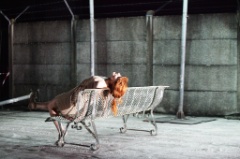 Soif 13 * 5616 x 3744 * (14.19MB)